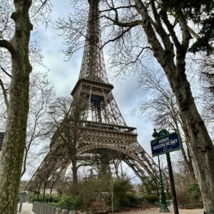 Term 4 (French Club After School Program) Thursday Ashfield Public School Class 15:00-16:00